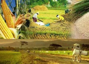 10 Faktor yang Mempengaruhi Ketahanan Pangan Nasional