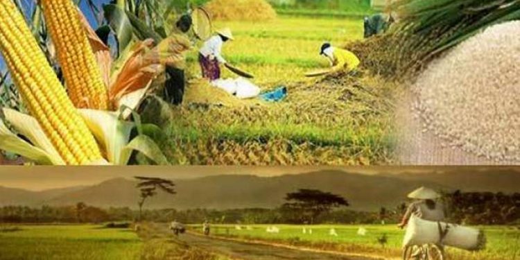 10 Faktor yang Mempengaruhi Ketahanan Pangan Nasional