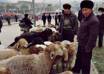 Muslim China saat menjual hewan kurban di pinggir jalan (Ist)