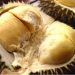 Macam-macam Jenis Durian