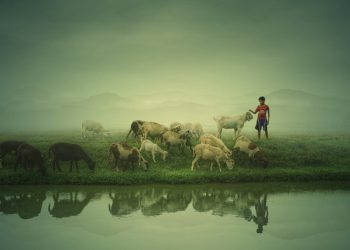 Cara Islam Memperlakukan Pekerja