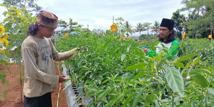 Menjaga Pondok Pesantren dari Menjual Agama