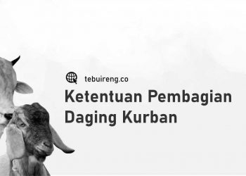 Ketentuan Pembagian Daging Kurban