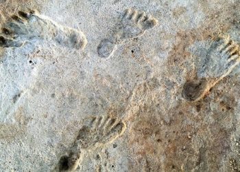 Mengenal Ilmu Qiyafah yang Punah