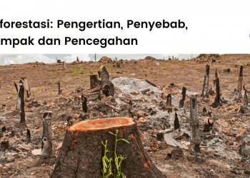 Peringatan Quran tentang krisis iklim