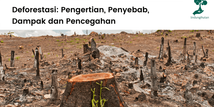 Peringatan Quran tentang krisis iklim