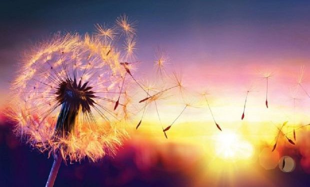 Empat Waktu Penyebab Keberkahan Hidup, Apa Saja