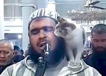 Kucing Naik Ke Pundak Imam Saat Salat Jadi Sorotan Warganet