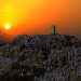 Wukuf di Arafah, Puncak Ibadah Haji di Mekkah