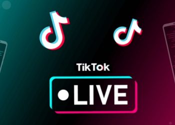 Tiktok Lebih dari Sekedar Sosial Media