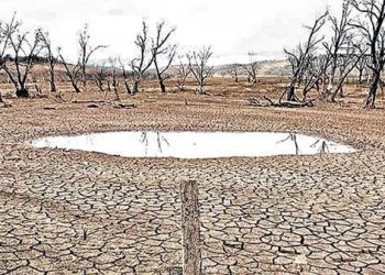 WMO Ingatkan Pemerintahan di Dunia Siaga Peristiwa El-Nino