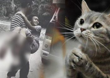 Demi Selamatkan Seekor Kucing, Kaki Nabila Hancur Terlindas Truk
