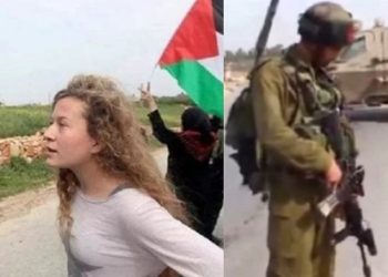 Aktivis Muda Palestina, Ahed Tamimi Ditangkap Israel