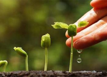 Perluasan Domain Kebaikan