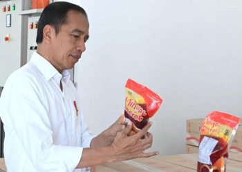Mengenal Minyak Makan Merah yang Diluncurkan Pemerintah