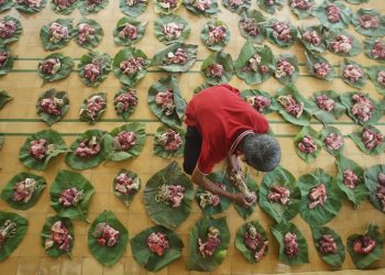 Hukum dan Pembagian Daging Hewan Kurban (Ist).