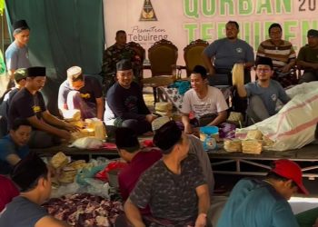 Peran Lembaga Zakat dalam Mendistribusikan Daging Kurban