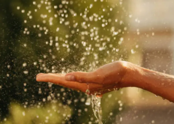 macam-macam najis dan cara menyucikannya (Ist)