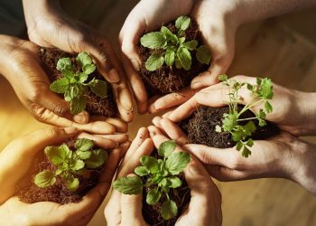 Lima Prinsip Dasar Menjaga Lingkungan Menurut Syaikh Yusuf Al-Qaradhawi.(Ist)